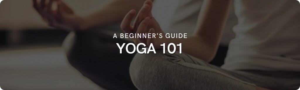 beginner's guide to yoga