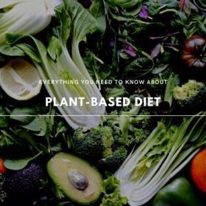 everything about plant-based diet