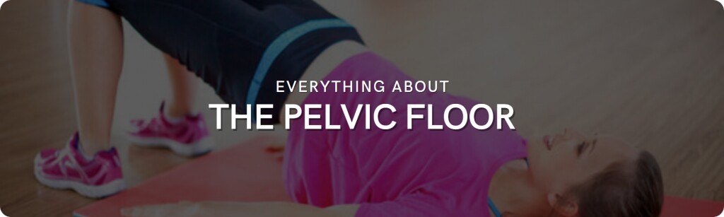 pelvic floor muscles tips