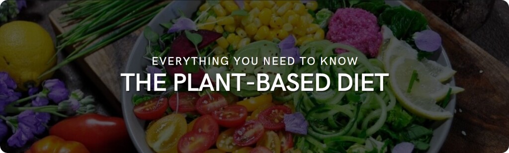 plant-based diet guide: basics and tips