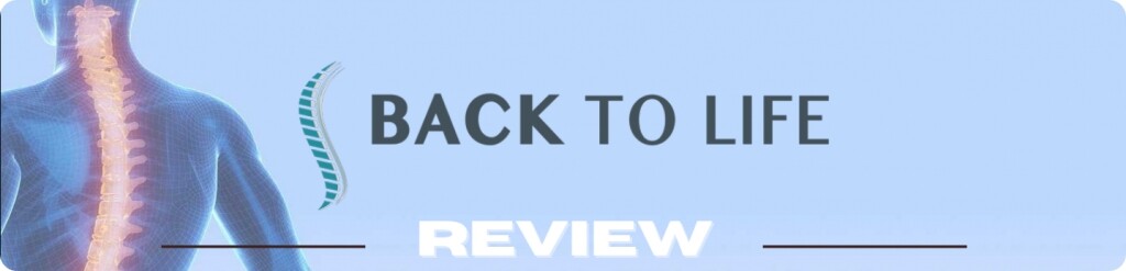 Back to Life - 3 Level Healthy Back System Review