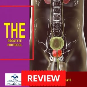 The Prostate Protocol PDF