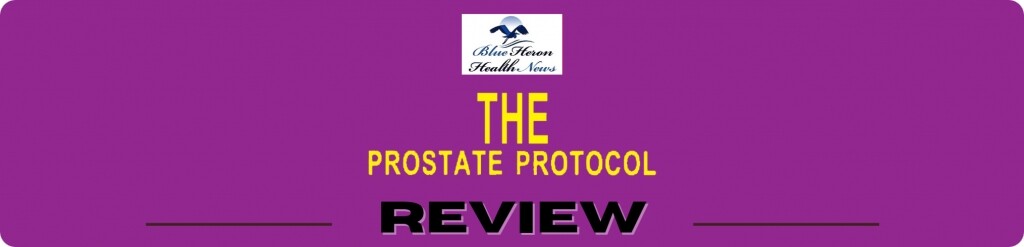 The Prostate Protocol Review