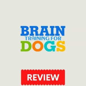 Brain Training For Dogs PDF