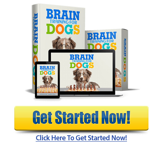 Download Brain Training For Dogs PDF