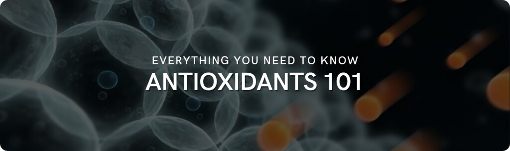 everything about antioxidants
