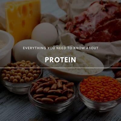 Protein 101: Its Importance, Differences, and Sources