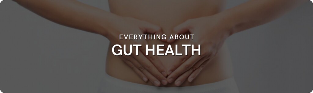 gut health 101 facts improvement tips