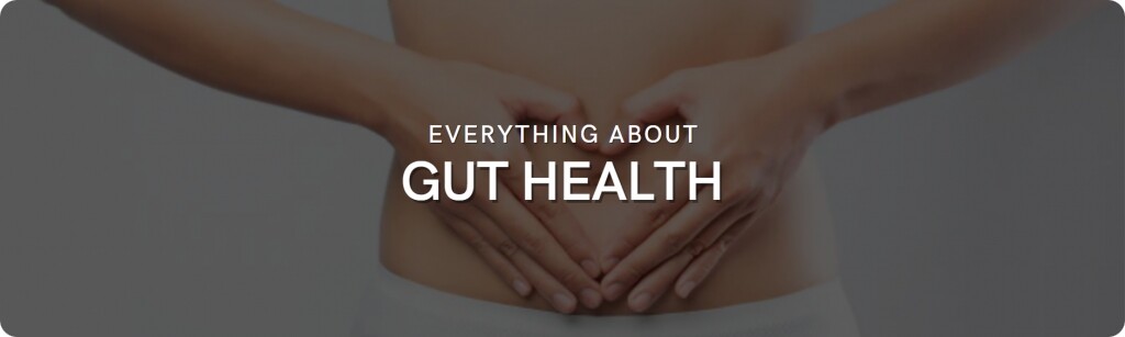 gut health 101 facts improvement tips