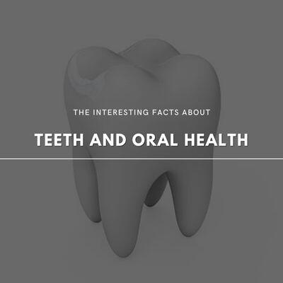 10 Super Interesting Facts About Teeth Infographicbee - vrogue.co