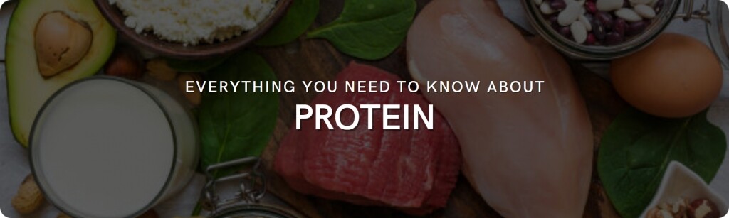 protein 101 quality types facts