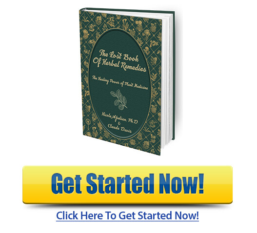 Download The Lost Book of Herbal Remedies PDF