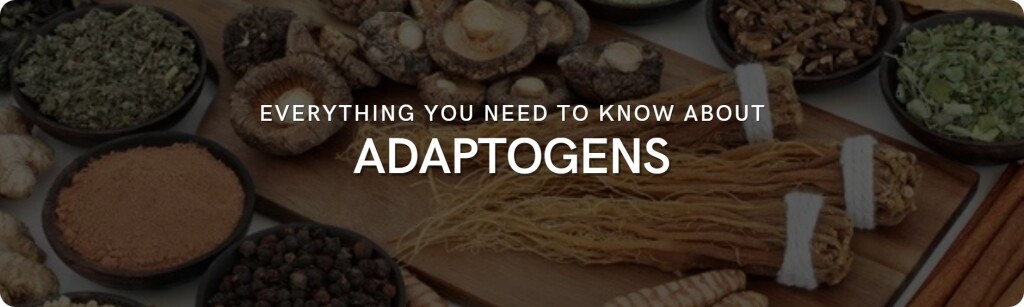 adaptogens guide and list of