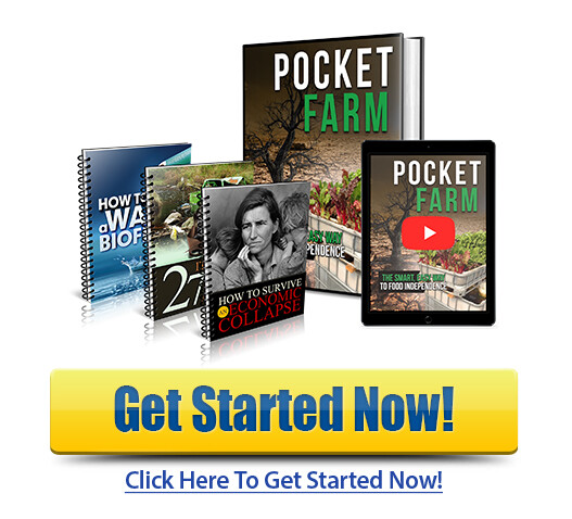 download pocket farm pdf