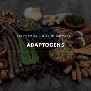 everything about adaptogens