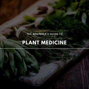 guide to plant medicine