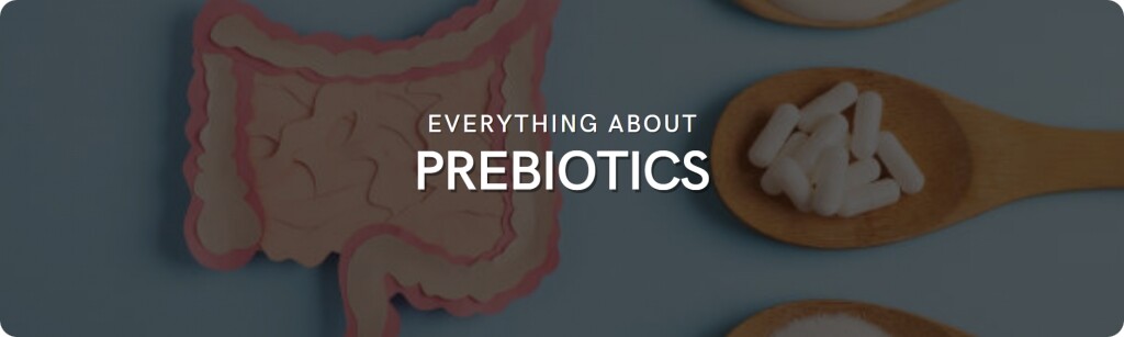 prebiotics - basics and list of ingredients