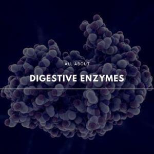 digestive enzymes 101