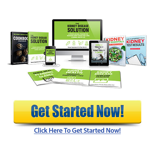 download the kidney disease solution pdf