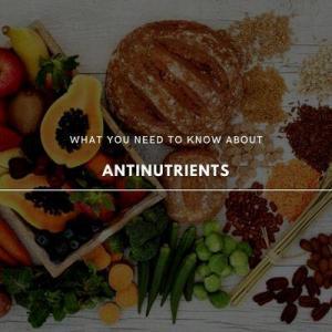 anti-nutrients 101