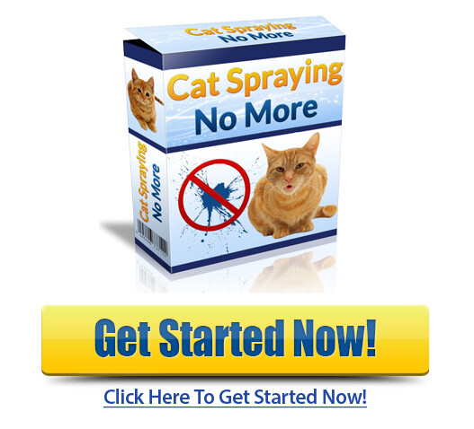 download cat spraying no more pdf