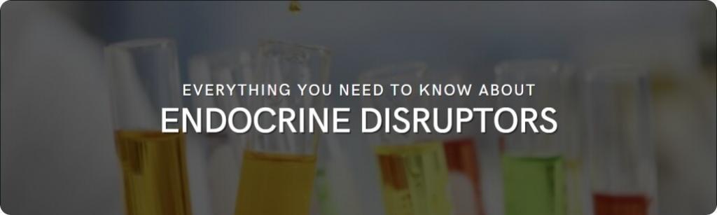 everything about endocrine disruptors