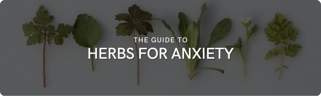 herbs for anxiety