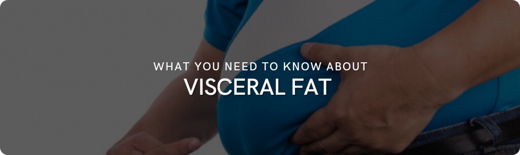 visceral fat info