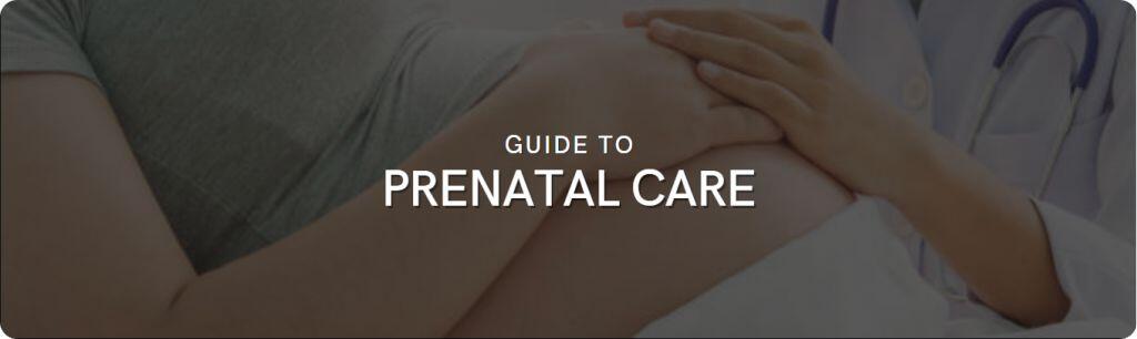prenatal care guide