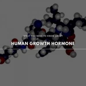human growth hormone 101