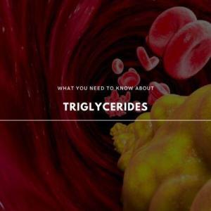 triglycerides 101
