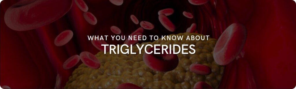 triglycerdies facts tips