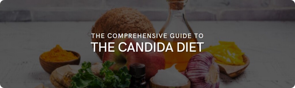 candida diet guide